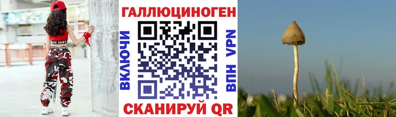 купить  цена  Закаменск  Галлюциногенные грибы Magic Shrooms 